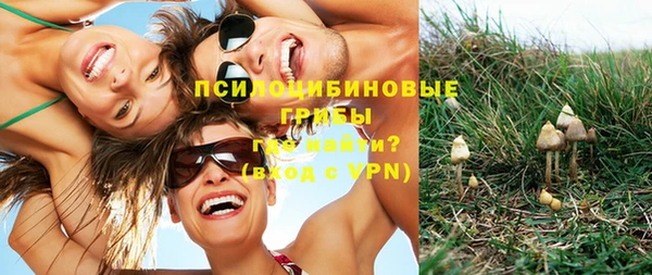 мяу мяу мука Армянск