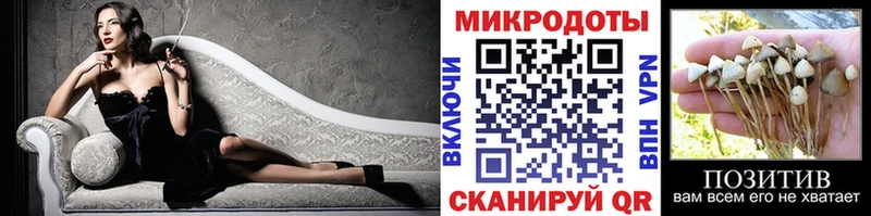 Псилоцибиновые грибы Magic Shrooms darknet наркотические препараты Чудово